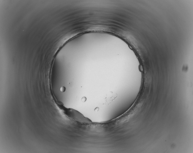 X0000096381041200802071509