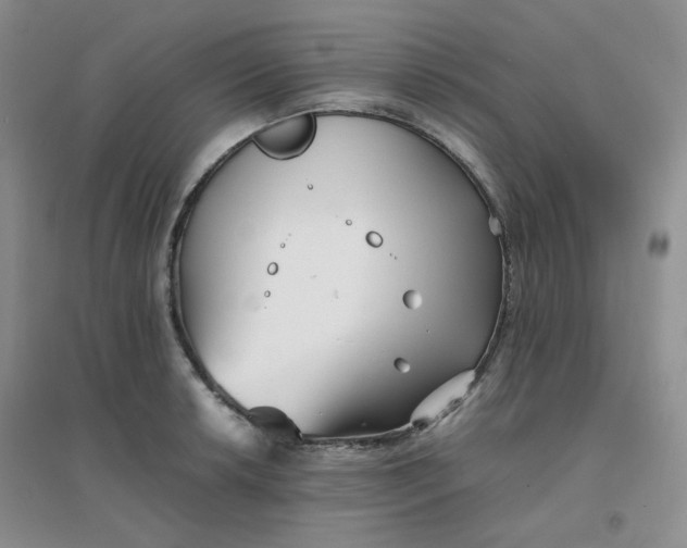 X0000096381042200802071509