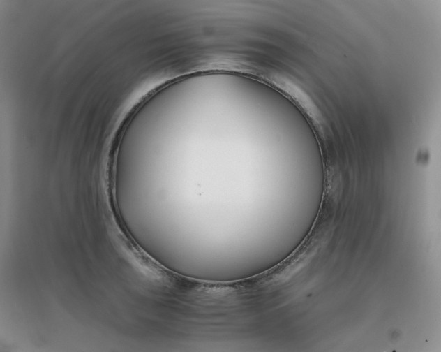 X0000096381043200802071509