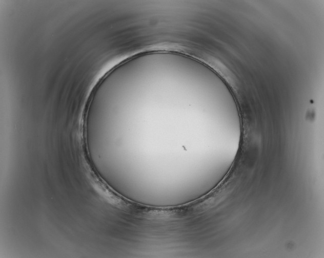 X0000096381044200802071509