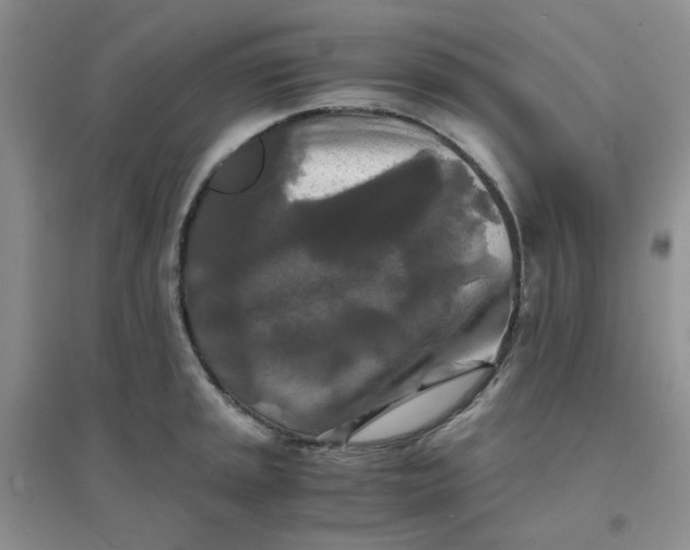 X0000096381045200802071509