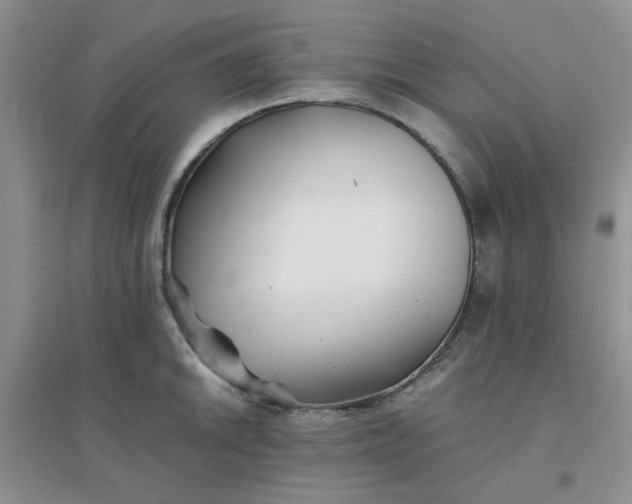 X0000096381046200802071509