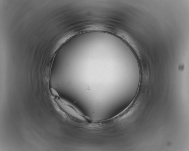 X0000096381049200802071509