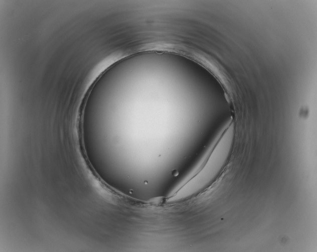 X0000096381050200802071509