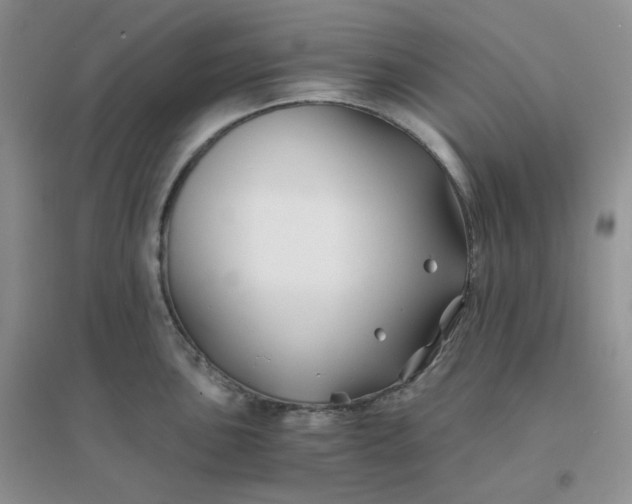 X0000096381051200802071509