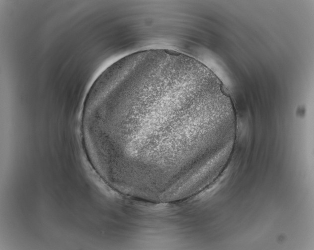 X0000096381052200802071509