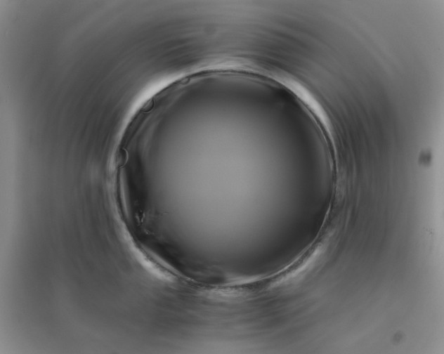 X0000096381053200802071509