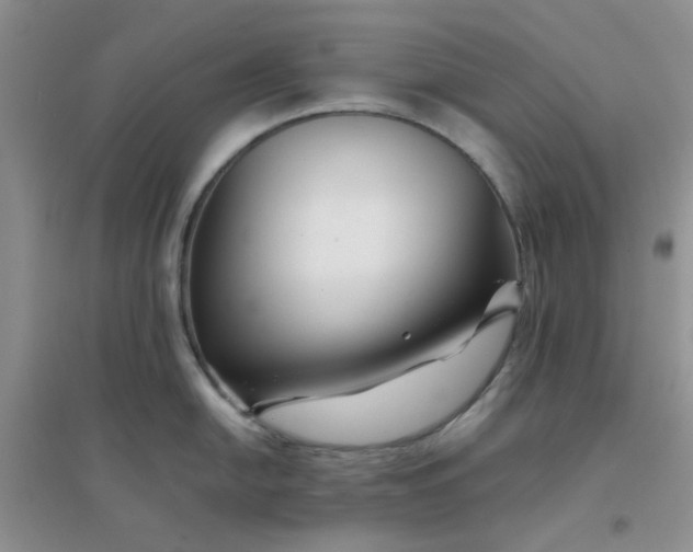 X0000096381054200802071509