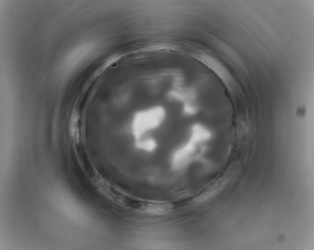 X0000096381055200802071509