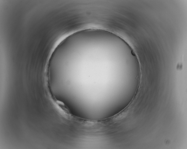 X0000096381056200802071509