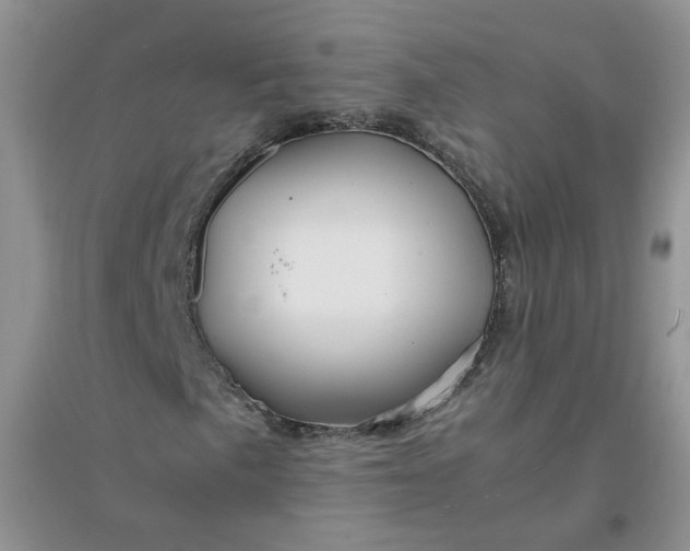 X0000096381057200802071508