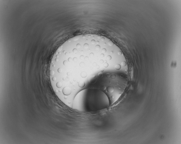 X0000096381059200802071508