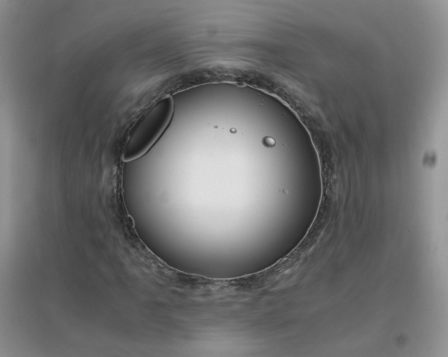 X0000096381061200802071508