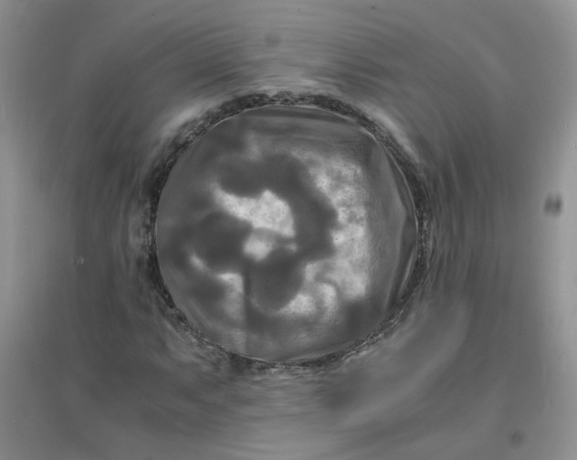 X0000096381063200802071508