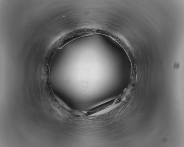 X0000096381064200802071508