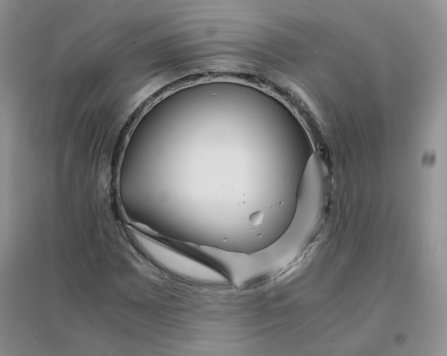 X0000096381065200802071508