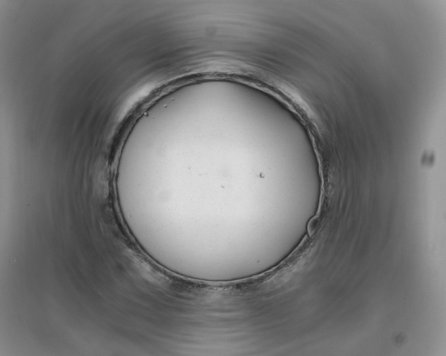 X0000096381067200802071508