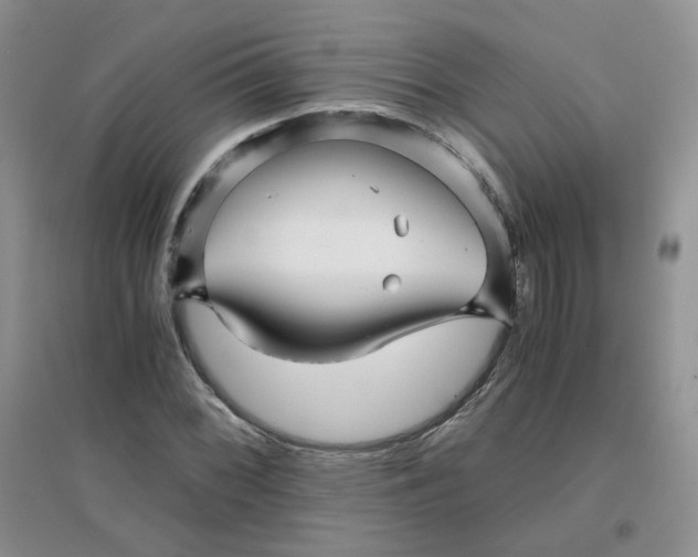 X0000096381068200802071508