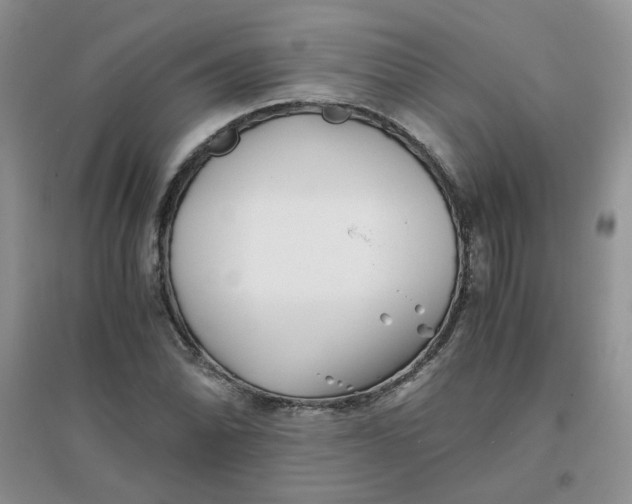 X0000096381070200802071508