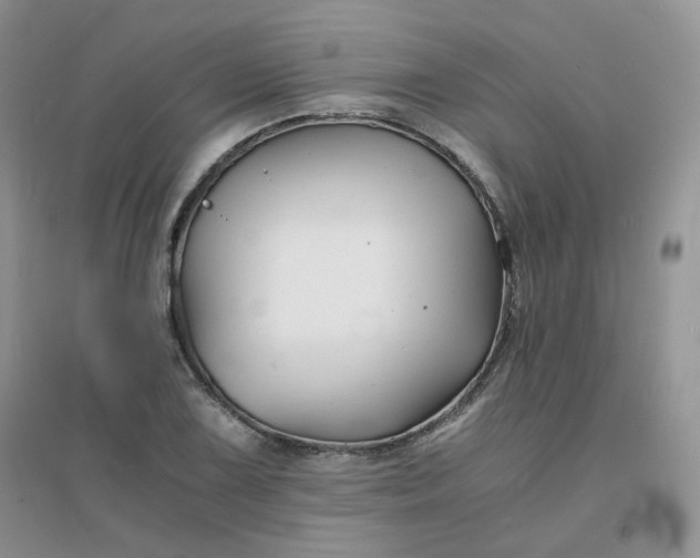 X0000096381075200802071508