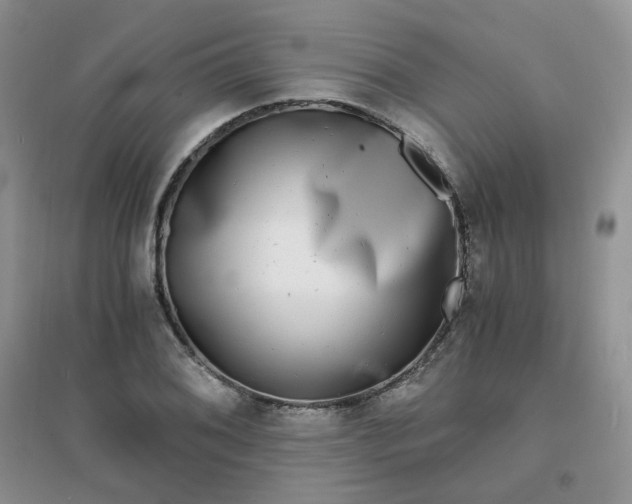 X0000096381076200802071508