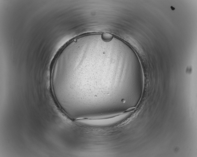 X0000096381079200802071508