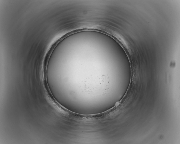 X0000096381080200802071508