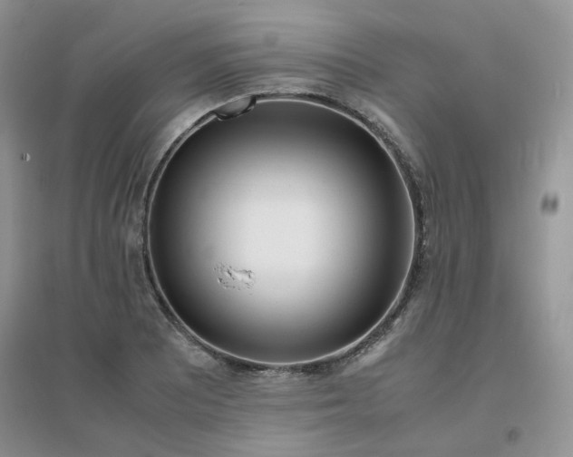 X0000096381081200802071508