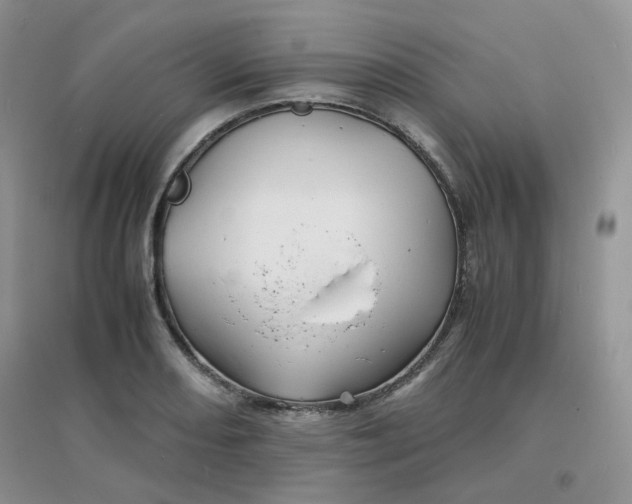 X0000096381082200802071508