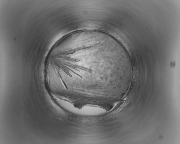 X0000096381083200802071508