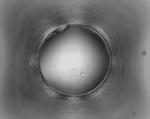 X0000096381089200802071508