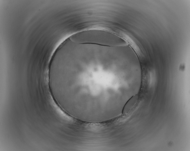 X0000096381092200802071508