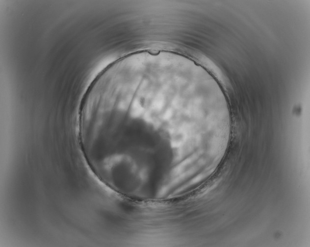 X0000096381095200802071508