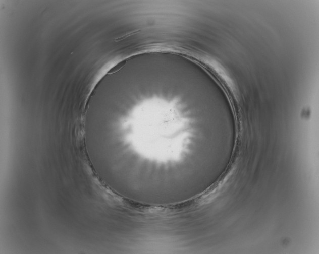 X0000096381097200802071508