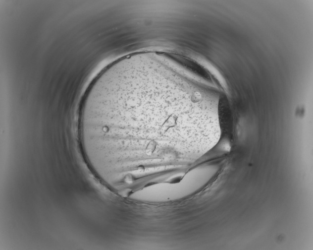 X0000096381099200802071508