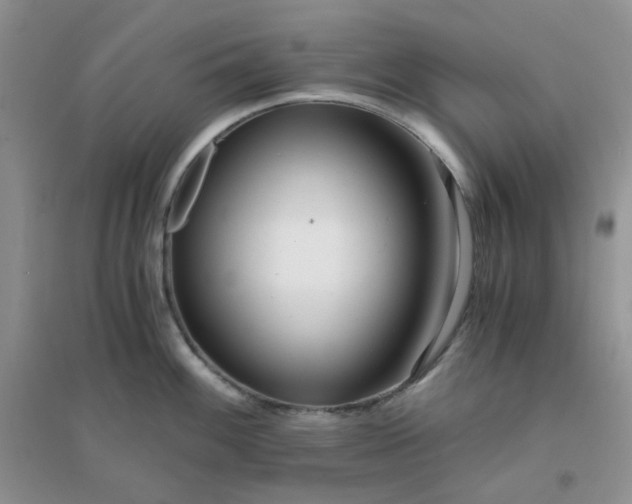 X0000096381100200802071508