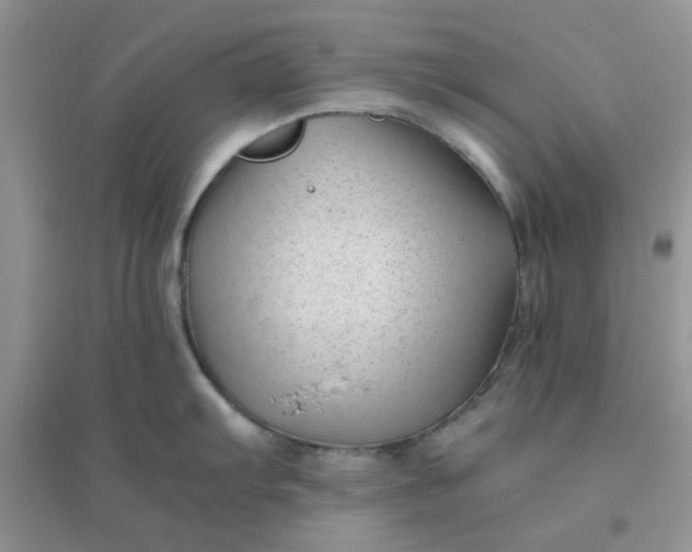 X0000096381103200802071508