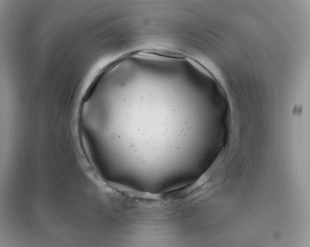 X0000096381104200802071508