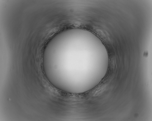 X0000096381105200802071507