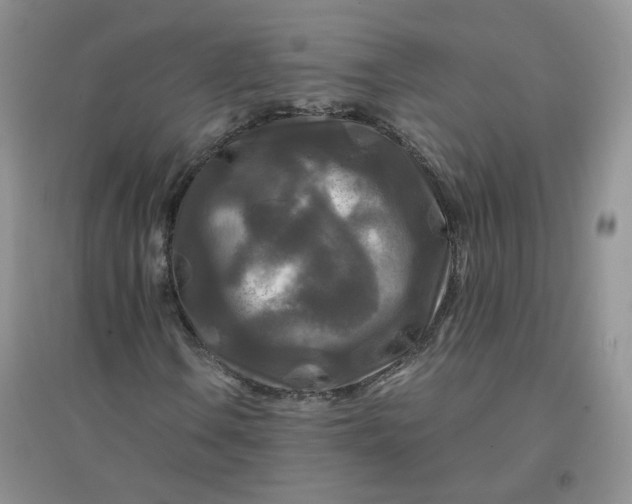 X0000096381106200802071507