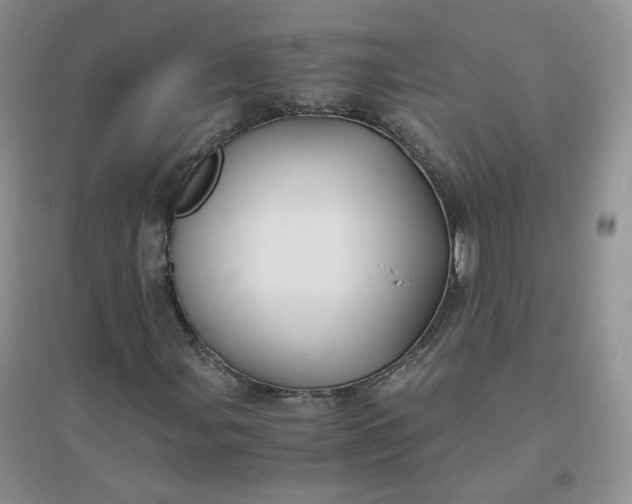 X0000096381107200802071507