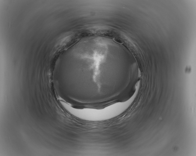 X0000096381108200802071507