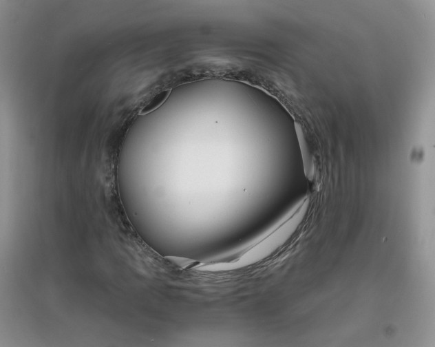 X0000096381109200802071507