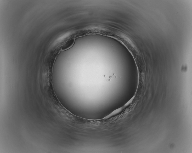 X0000096381111200802071507