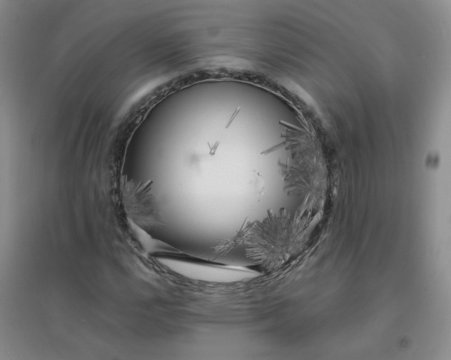 X0000096381112200802071507