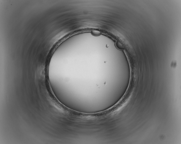 X0000096381113200802071507