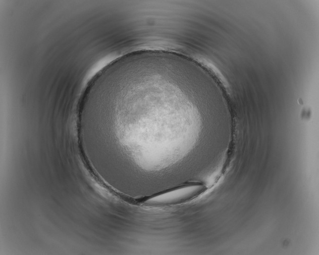 X0000096381114200802071507