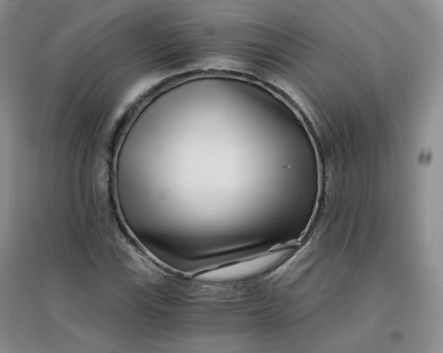 X0000096381115200802071507