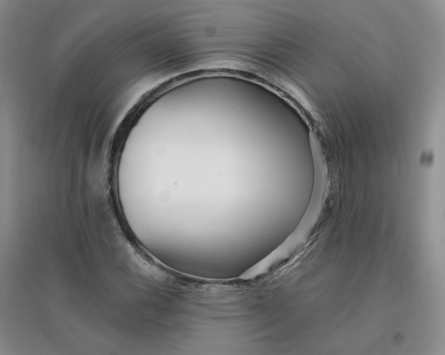 X0000096381116200802071507