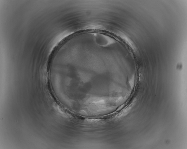 X0000096381117200802071507